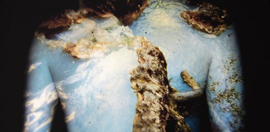 Il paesaggio non è verde: a Livorno, una mostra sul dialogo tra natura e città