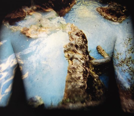 Il paesaggio non è verde: a Livorno, una mostra sul dialogo tra natura e città