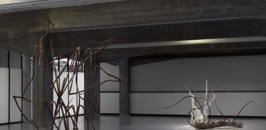 Deadweight di Dominique White e la collettiva Attraverso i Diluvi, a Reggio Emilia