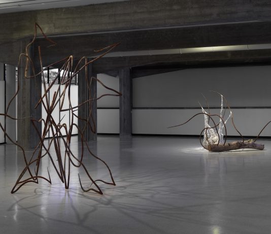 Deadweight di Dominique White e la collettiva Attraverso i Diluvi, a Reggio Emilia