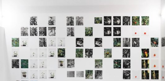 Quattro idee sul paesaggio in mostra da Albumarte, a Roma Judit Bou, Marta R Chust and Roc Domingo Puig, Albert Gironès, Laura Palau La forma solida del paesaggio (The Solid Form of Landscape), AlbumArte 2024, veduta della mostra, photo by Giorgio Benni, courtesy AlbumArte