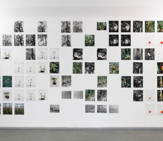 Quattro idee sul paesaggio in mostra da Albumarte, a Roma Judit Bou, Marta R Chust and Roc Domingo Puig, Albert Gironès, Laura Palau La forma solida del paesaggio (The Solid Form of Landscape), AlbumArte 2024, veduta della mostra, photo by Giorgio Benni, courtesy AlbumArte