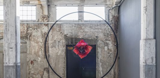 Marco Vignati, tra metamorfosi e memoria: la mostra alla Galleria Lampo di Milano Marco Vignati, Sheer Pulses, Veduta della mostra, Galleria Lampo Milano, 2024