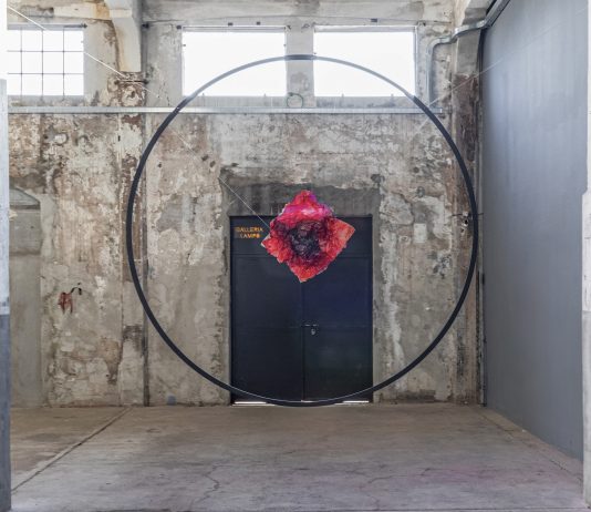 Marco Vignati, tra metamorfosi e memoria: la mostra alla Galleria Lampo di Milano Marco Vignati, Sheer Pulses, Veduta della mostra, Galleria Lampo Milano, 2024