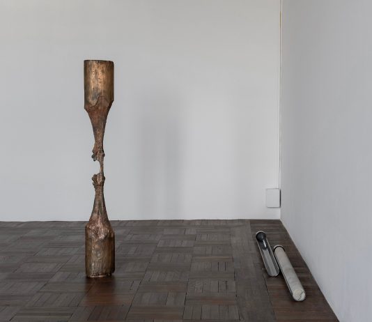 La scultura come traccia viva: i lavori di Giorgio Andreotta Calò a Ca’ Pesaro