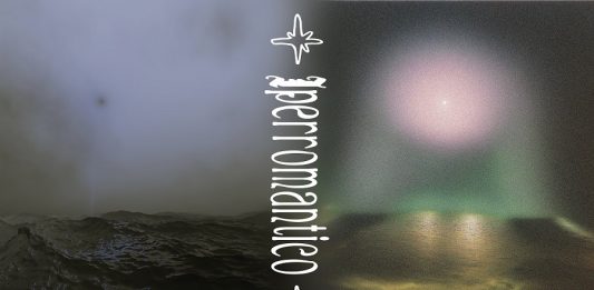 “IPERROMANTICO Cose collettive”, un incontro tra Carlo Orsini e i collettivi partecipanti a “Fare Collettivo” venerdì 22 novembre 2024 alle 19.00 Platea | Palazzo Galeano, Lodi