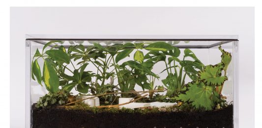 Premio Caputo, a Napoli un nuovo riconoscimento al dialogo tra impresa e arte emergente Error 207, Eco