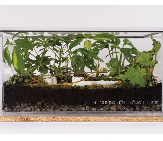 Premio Caputo, a Napoli un nuovo riconoscimento al dialogo tra impresa e arte emergente Error 207, Eco