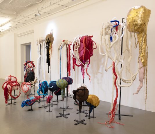 A Cavalese GOLD di Thomas De Falco inaugura il programma triennale della neodirettrice Elsa Barbieri