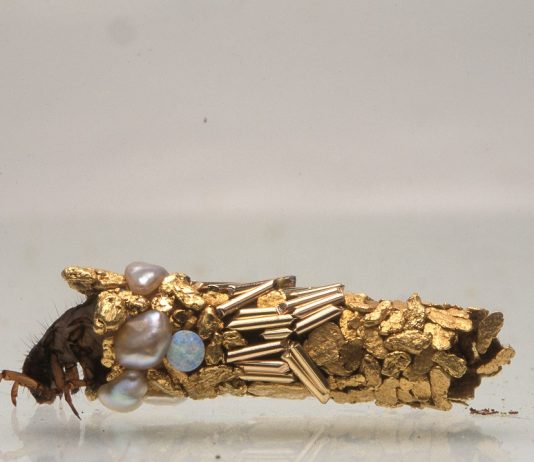 Al Castello di Rivoli c’è una mostra di opere “organiche”