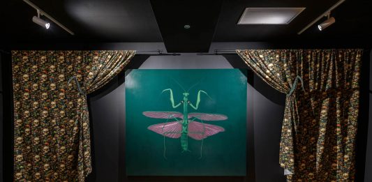 VIRIDITAS – L’ultimo superstite di Leonardo Petrucci alla Galleria Gilda Lavia di Roma