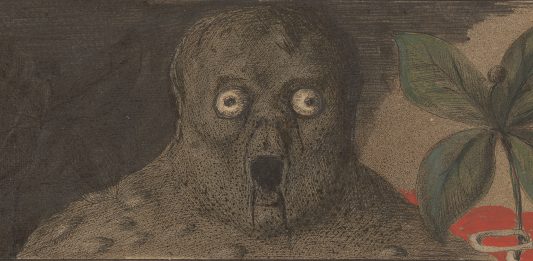 Le figure inquietanti di Alfred Kubin e della sua epoca in mostra all’Albertina di Vienna