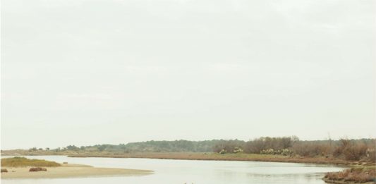 Foto/Territorio: il nuovo progetto che racconta Bologna e il suo territorio