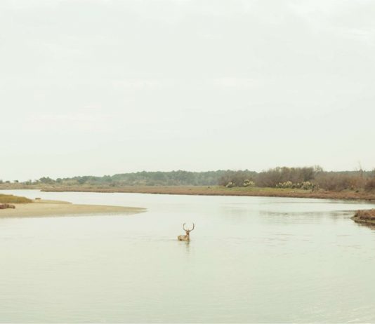 Foto/Territorio: il nuovo progetto che racconta Bologna e il suo territorio
