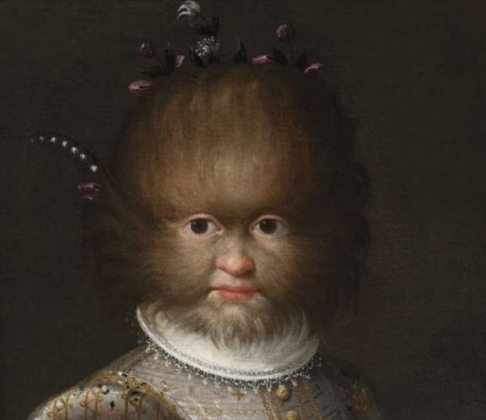 Dal TEFAF al NMWA di Tokyo: nuova casa per il capolavoro di Lavinia Fontana Lavinia fontana tokyo