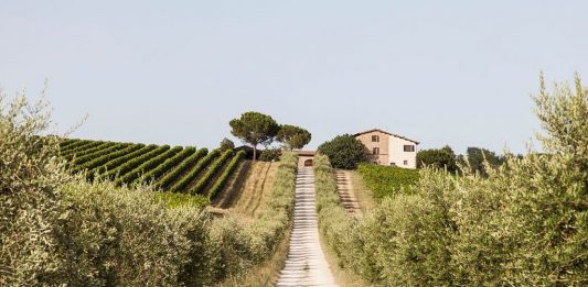 Il Tempo della Terra: il Premio Cramum 2024 celebra tutte le età creative