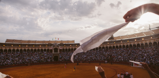 Tardes de Soledad, il rituale del toro: intervista al regista Albert Serra Tardes de soledad, Afternoons Of Solitude, Albert Serra, Spanien/Frankreich/Portugal 2024, V'24 Features