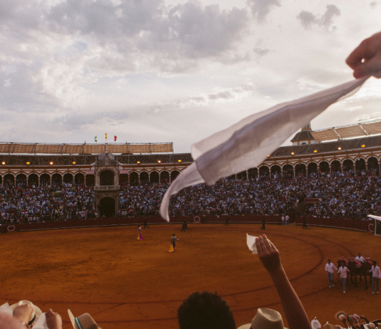 Tardes de Soledad, il rituale del toro: intervista al regista Albert Serra Tardes de soledad, Afternoons Of Solitude, Albert Serra, Spanien/Frankreich/Portugal 2024, V'24 Features