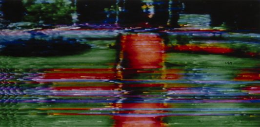 Da Abramovic a Warhol, 650 opere della Collezione Petignat donate al MASI Lugano