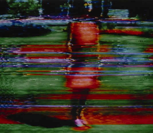 Da Abramovic a Warhol, 650 opere della Collezione Petignat donate al MASI Lugano