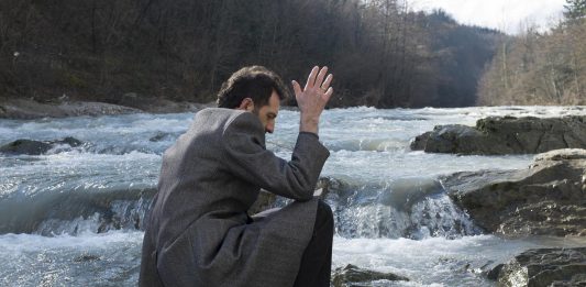 Fotografie di un’amicizia, raccolte in natura: il progetto da Alchemilla