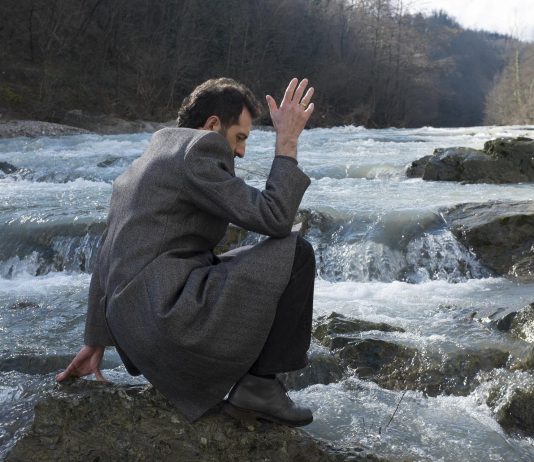 Fotografie di un’amicizia, raccolte in natura: il progetto da Alchemilla