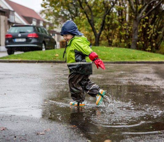 Roma, Prospettive da Novembre Nordico: la parola ai protagonisti