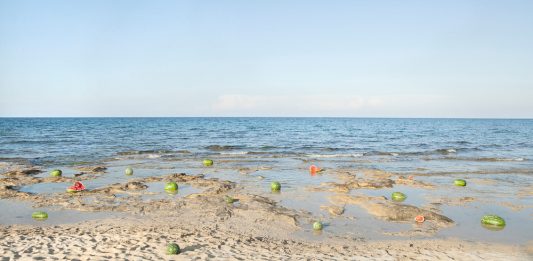 Other Identity #138, altre forme di identità culturali e pubbliche: Alessia Rollo