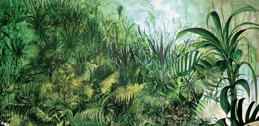 Antonio Bardino Il respiro delle piante dal 20 dicembre 2024 al 3 marzo 2025 presso Casa Cavazzini e il Liceo Classico Statale Jacopo Stellini di Udine