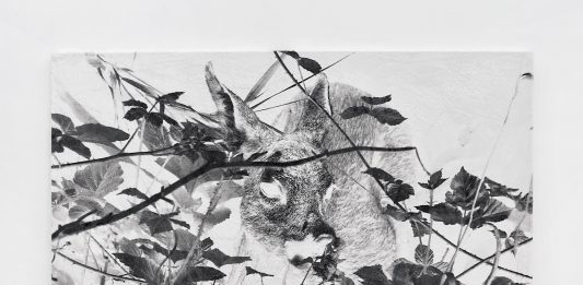 Come Hänsel e Gretel: Luca Campestri a Venezia