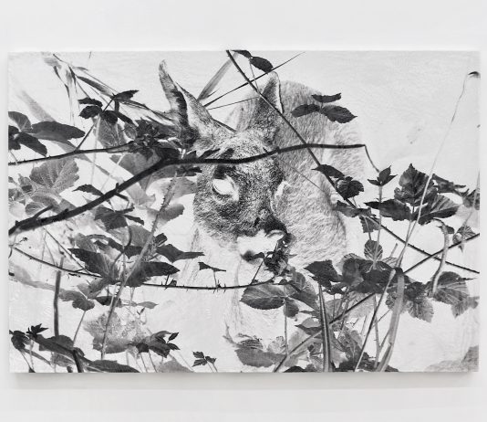 Come Hänsel e Gretel: Luca Campestri a Venezia