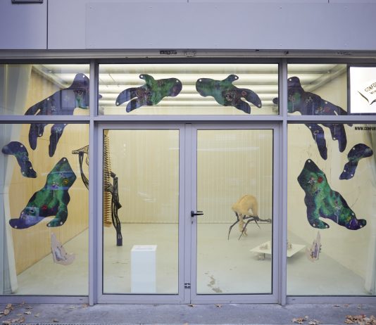 Borderland, il corpo come spazio liminale: sei artisti in mostra a Parigi BORDERLAND, veduta parziale della mostra, dicembre 2024, Confort Mental, Paris,