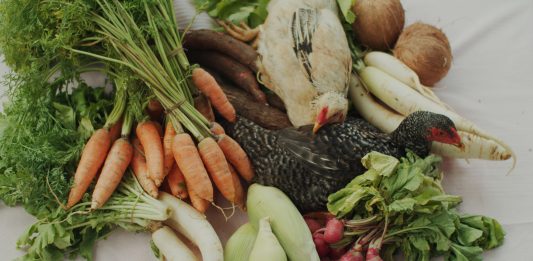 Torino, il programma di Campo24 riflette sui confini dell’utopia