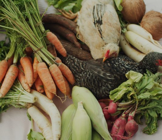 Torino, il programma di Campo24 riflette sui confini dell’utopia