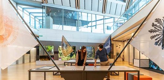 “La Terra dura più degli imperi”, al MUSE arriva l’ambasciata delle Diplomazie Interspecie, la nuova installazione site specific del collettivo artistico Mali Weil