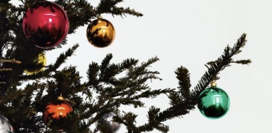 L’albero di Natale perfetto? Tutti gli alberi di Natale sono perfetti!