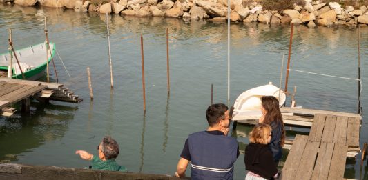 Sedimenta, ecosistemi liminali: la residenza artistica per esplorare il Delta del Po