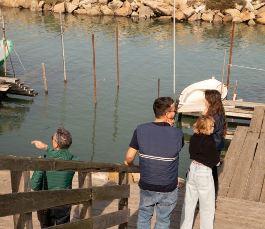 Sedimenta, ecosistemi liminali: la residenza artistica per esplorare il Delta del Po