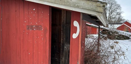 Momentum 2025: suoni ed ecologie oltre l’umano, anticipazioni della Biennale norvegese