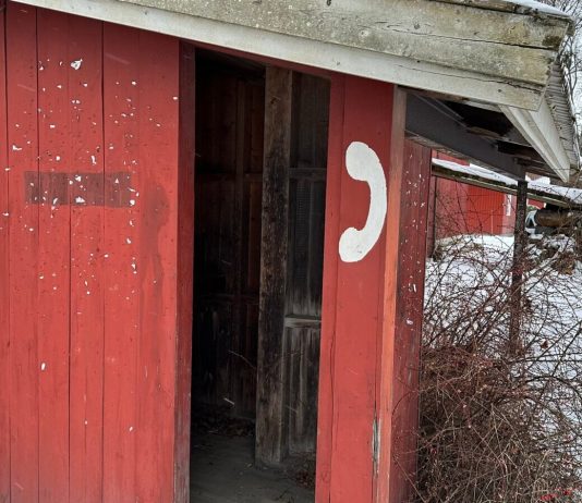 Momentum 2025: suoni ed ecologie oltre l’umano, anticipazioni della Biennale norvegese