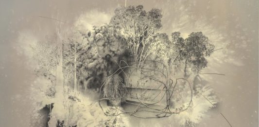 Pinault Collection, le mostre del 2025 a Venezia: gli artisti protagonisti