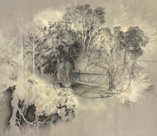 Pinault Collection, le mostre del 2025 a Venezia: gli artisti protagonisti