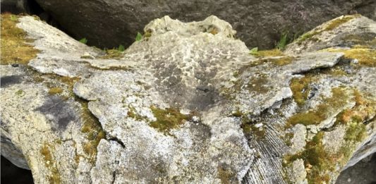 Quello che ricordi ti salva. Opere di Beba Stoppani, a Milano