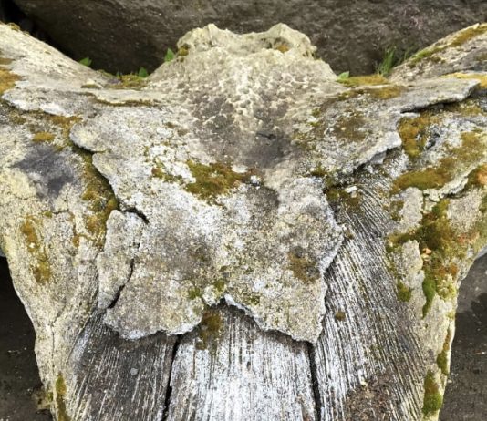 Quello che ricordi ti salva. Opere di Beba Stoppani, a Milano