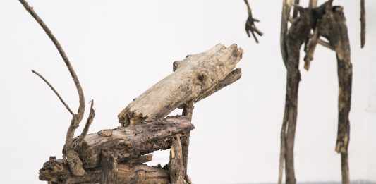 Cane cane, elogio dell’amicizia: Fabio Giorgi Alberti in mostra a Roma Fabio Giorgi Alberti, cane cane, veduta della mostra, Lateral Roma, 2024, Courtesy l’artista. Foto Jacopo Rinaldi, Lateral Roma