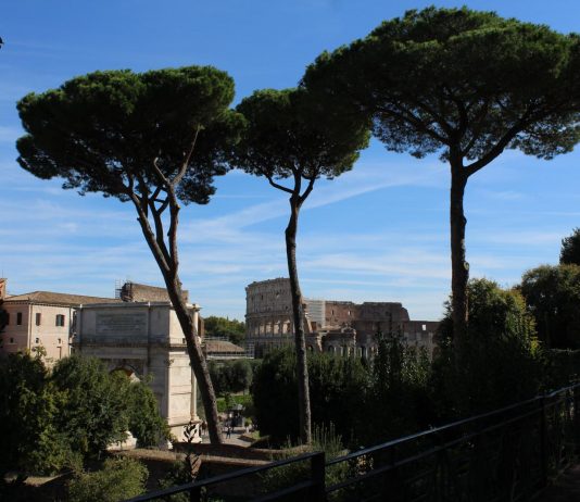 Il cuore verde del Colosseo, un patrimonio naturale da proteggere colosseo patrimonio naturale