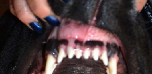 Other Identity #142, altre forme di identità culturali e pubbliche: Kristina Rozhkova