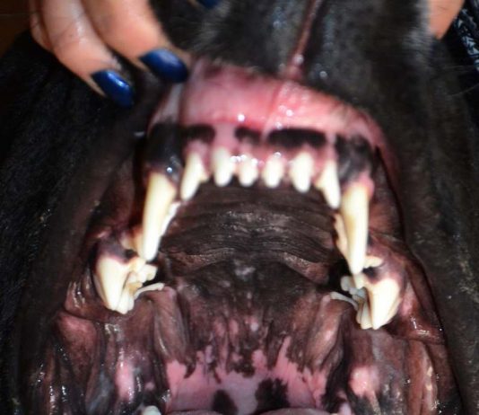 Other Identity #142, altre forme di identità culturali e pubbliche: Kristina Rozhkova