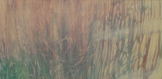 Allo Spazio Iris di Pescara, arte e filosofia per ridefinire il concetto di naturale