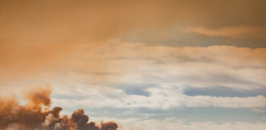 Incendi di Los Angeles, si contano i danni. E i musei istituiscono un fondo per gli artisti colpiti